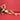 Dxpe Thong Bikini - Dxpe Clothing